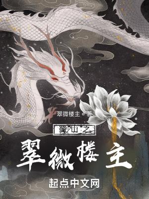 蜀山之翠微楼主TXT