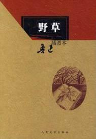 野草莓的功效与作用图片