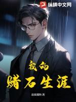 我的赌石生涯李平安全章节