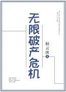无限破产危机txt书包