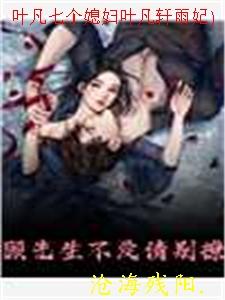叶凡的媳妇儿