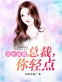 贪欢成瘾总裁你轻点