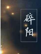 碎阳免费阅读