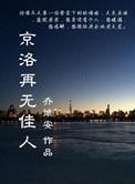 京洛再无佳人讲的是什么