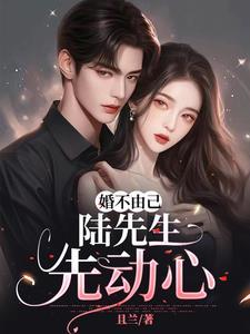 婚不由己陆少晚上好