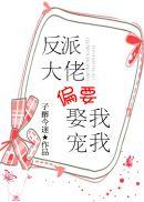反派大佬偏执
