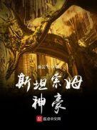 斯坦索姆什么值钱