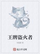 盗火者歌曲完整版