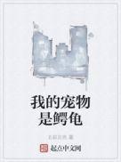 类似我的宠物是鳄龟的