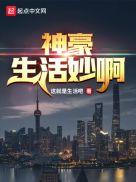 神豪生活游戏 手机版