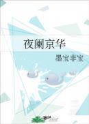 夜阑京华免费阅读