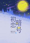 初恋暗号讲了什么