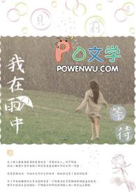 我在雨中等你什么歌