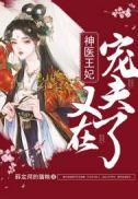 神医王妃王爷又被和离啦