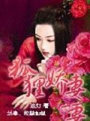 狐狸娇妻动漫