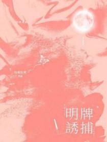 诱捕1视频