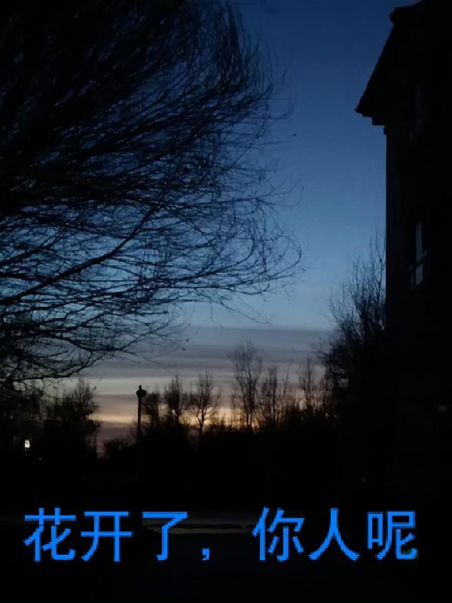 花开了你还在吗