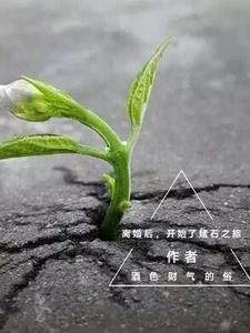 我和四个哥哥一起穿到清朝 作者锦瑟思弦
