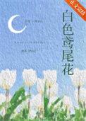 将夜之剑痴