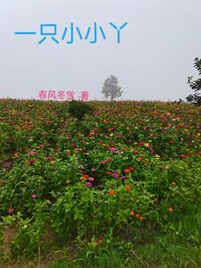 见面点点头