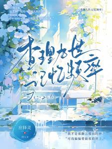 查理九世解析