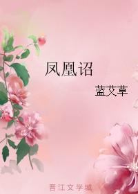 凤凰诏是什么意思