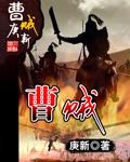曹贼何异是什么意思