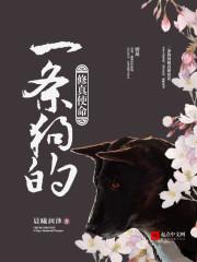 纨绔疯子在哪里可以看