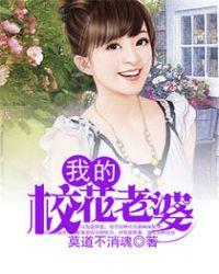 我的校花老婆叶雪峰