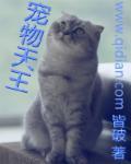 宠物天王人物介绍