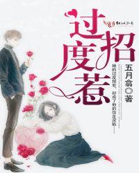 过度招惹免费阅读