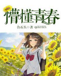 懵懂青春2胡不归