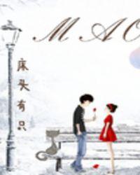 隔壁猫叫怎么处理