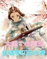 大唐小霸王16小时