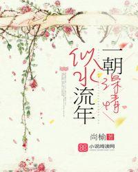 似水流年诗