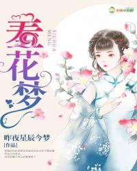 羞花梦 昨夜星辰今梦