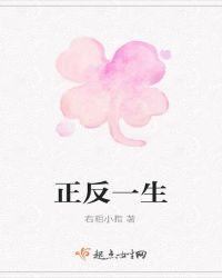 一正一反玄机码是指什么生肖