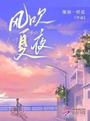 夏夜晚风repo