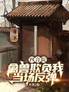 四合院系列阅读