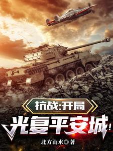 抗战我平安县军阀!全军德系!(北方山水)