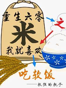 重生六零小媳妇作者小楼寒