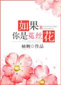 如果你是菟丝花 晋江