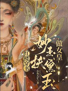 综穿红楼妙玉