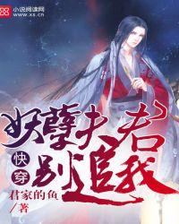 妖孽夫君n多只