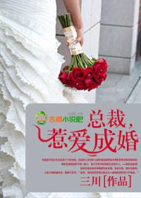 总裁 惹爱成婚 三川