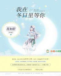 我在冬日暖阳等风停什么歌