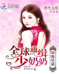 璀璨星途全球通缉少奶奶 聚合中文网