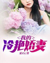我的冷艳娇妻竟然纶为17岁
