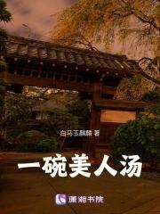 一碗美人汤百度