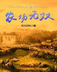 大唐之农场系统txt